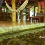 resting area found in the holistic jungle spa compound building showing part of the fountain, hammocks and benches