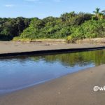 scenery of a small river in playa grande