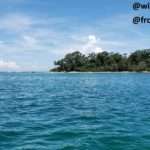 perfect combination of sea, sky and land showing the point of cahuita national park from the boat while doing snorkeling in the coral reef