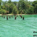 the remnants of the harbor that are found in Cahuita National Park where the town used to be located, showing the trees and the beach in the background.