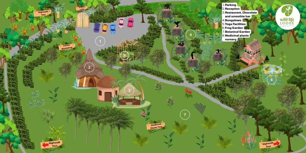 Tours and Activities