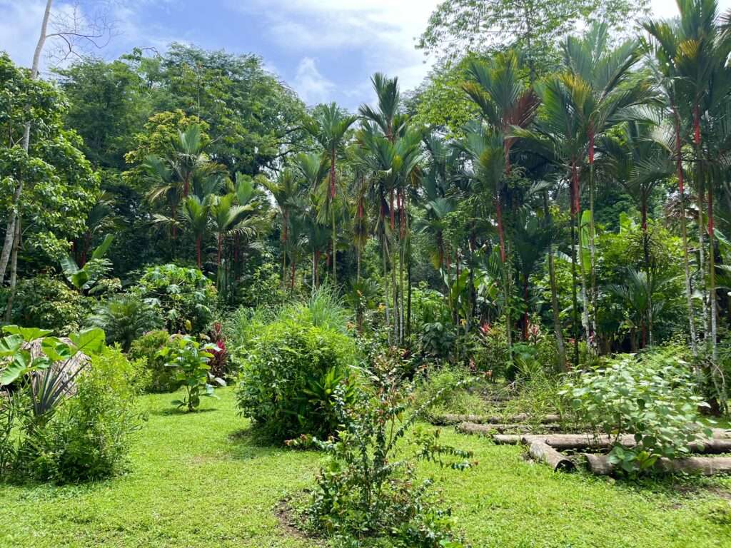 image00037 (2)