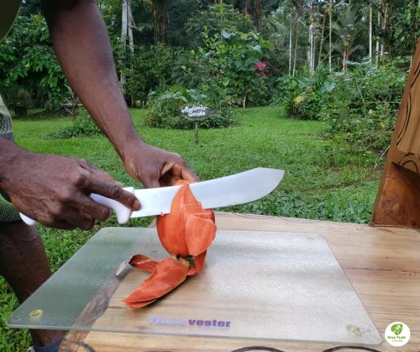 Farm-to-Table Cooking Workshop - Image 8