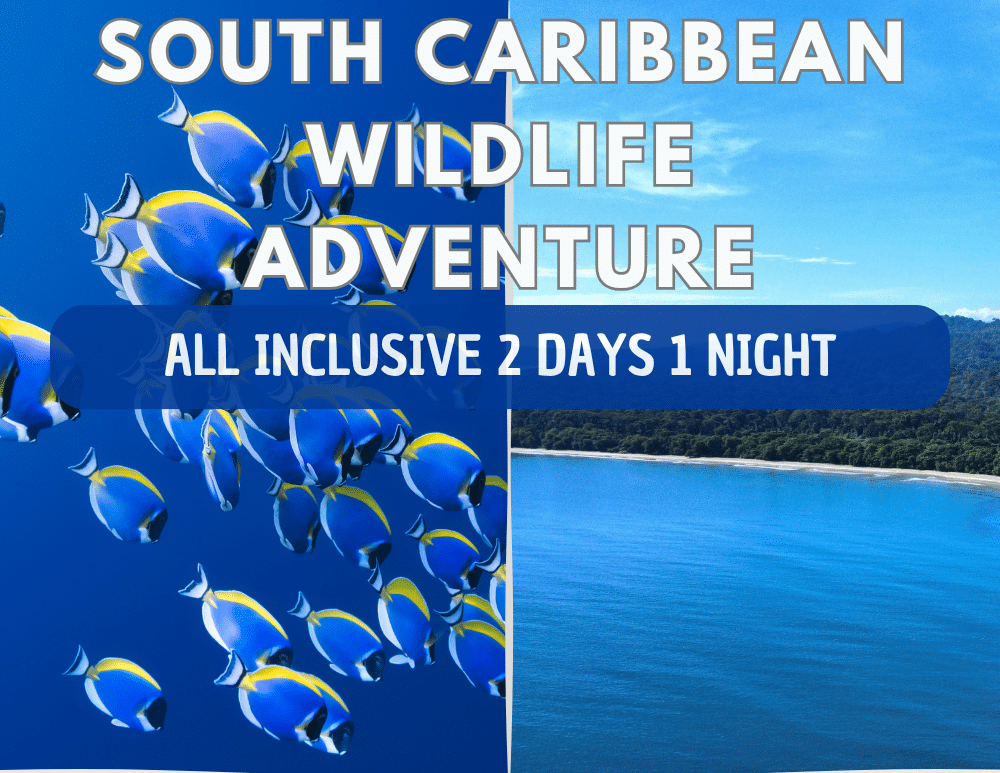 Package 2 days 1 night