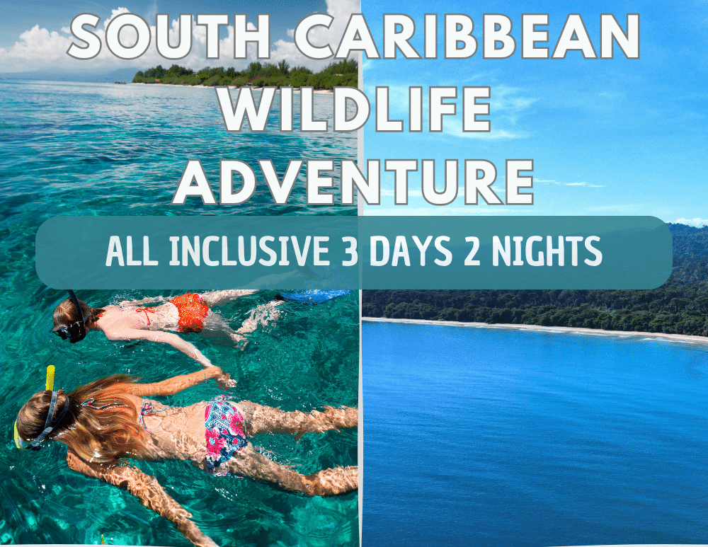 3 days 2 nights package