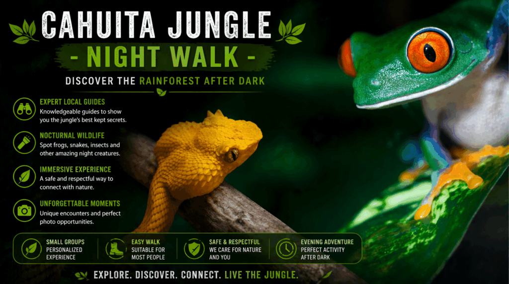 Cahuita Wildlife Lodge Jungle Nightwalk 1