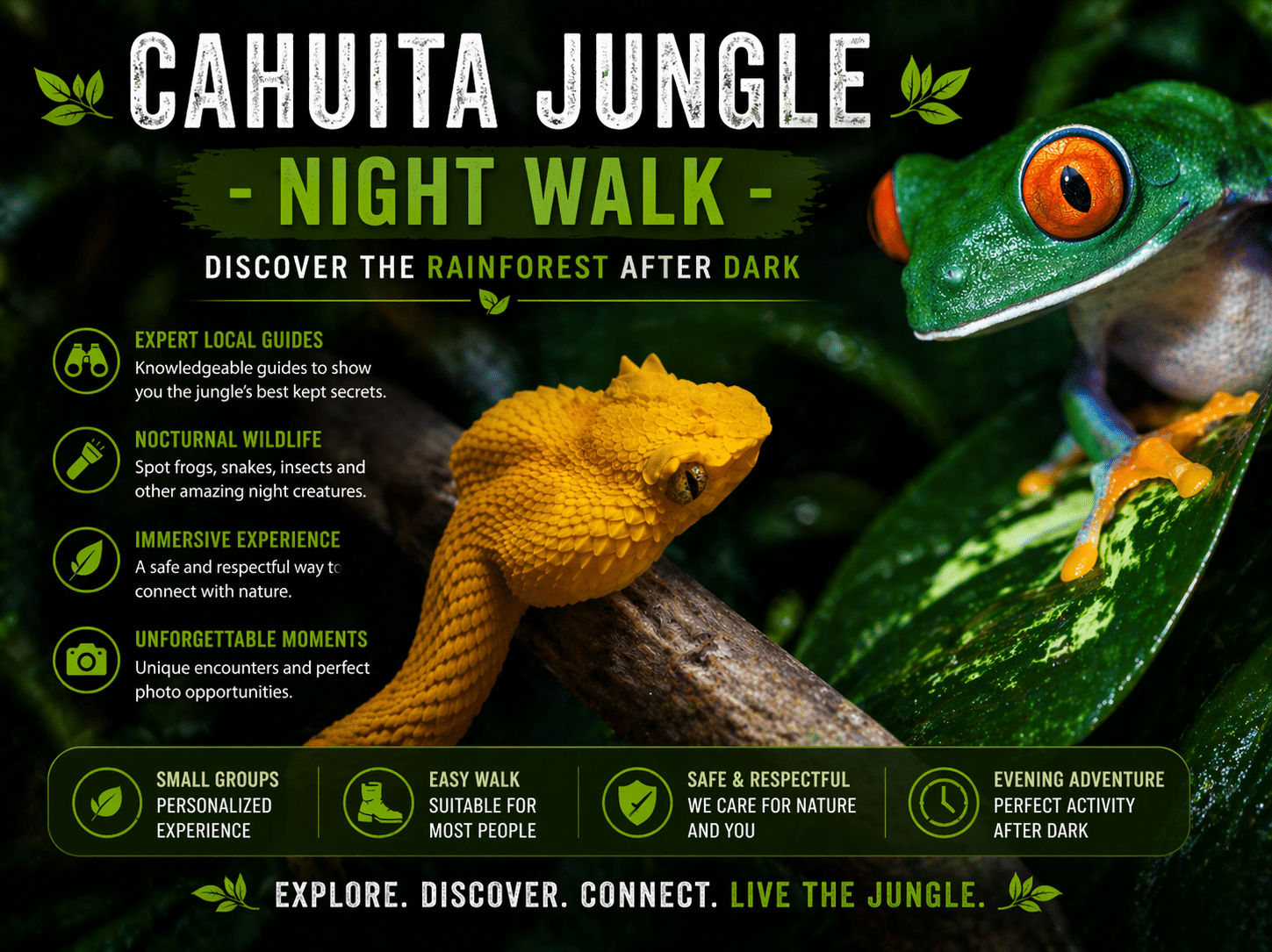 Jungle Nightwalk Cahuita Wildlife Lodge