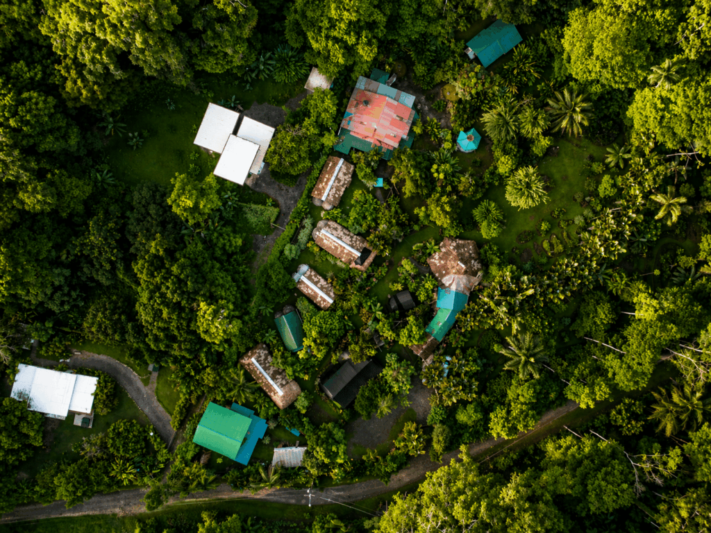 Wildlife Lodge Cahuita Overview