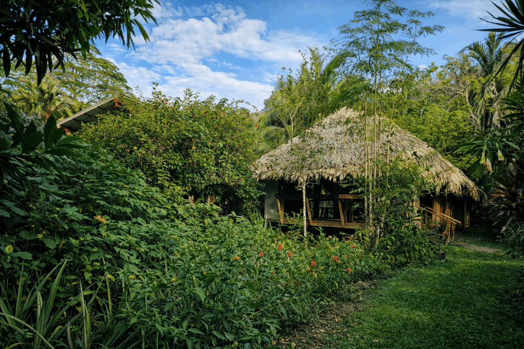 congo outside