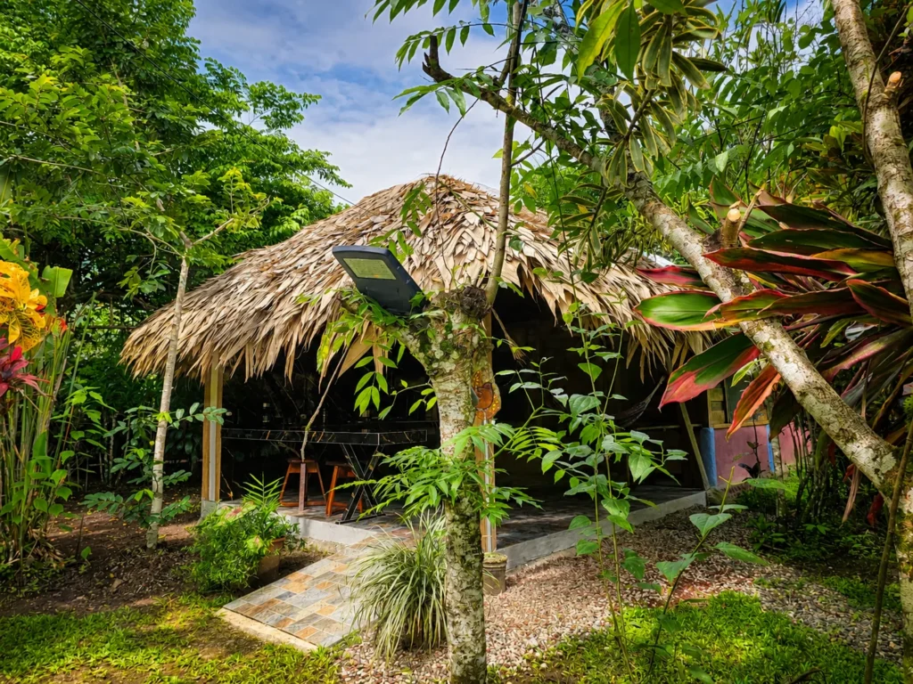 Wildlife Lodge Perezoso Room 7